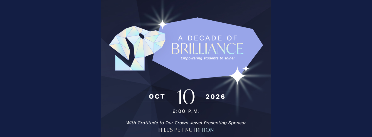 A Decade of Brilliance